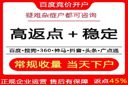 百度竞价运营的挑战与机遇：成功案例探讨